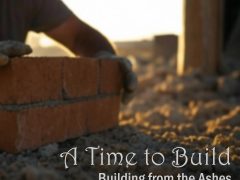 A Time to Build: From the Ashes
